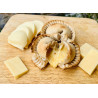 Inanna (Cheese) Medium