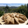 Party Pack Empanadas